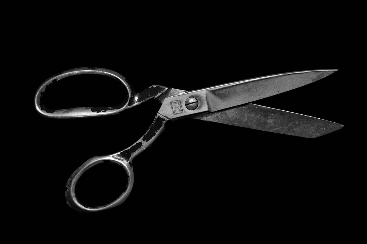 Why Japanese Steel Beard Scissors Are the Secret Weapon Every Bearded Guy Needs