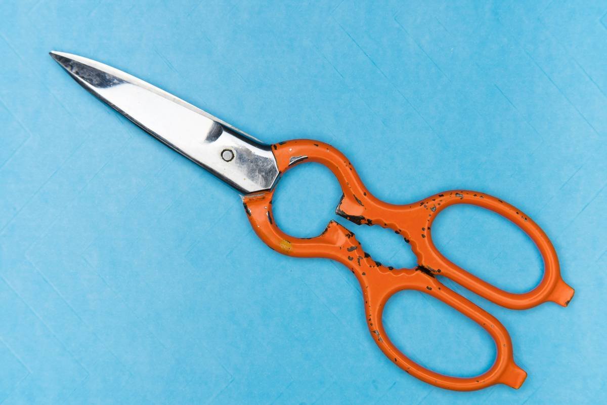 Side-by-side comparison showing clean beard scissors with proper blade lubrication versus corroded, unlubricated blades