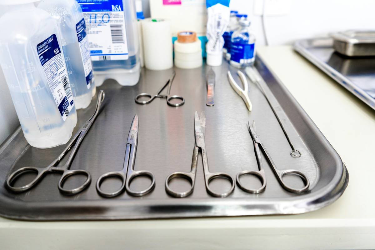 Step-by-step visual guide showing disassembly, alcohol soak, drying, and oiling of beard scissors